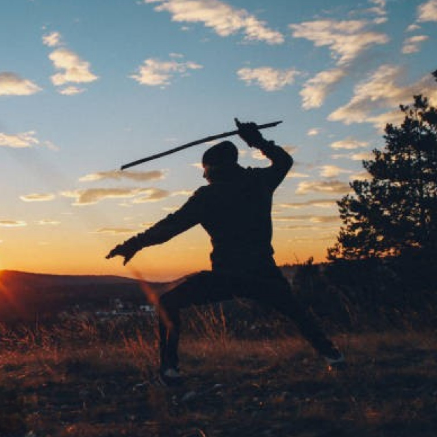 The Samurai’s Journey of Discipline — 武者修行 (Musha Shugyo)